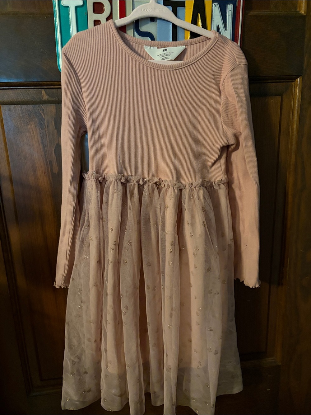 H&M Girls Dusty Pink Long-Sleeve Tulle Skirt Dress